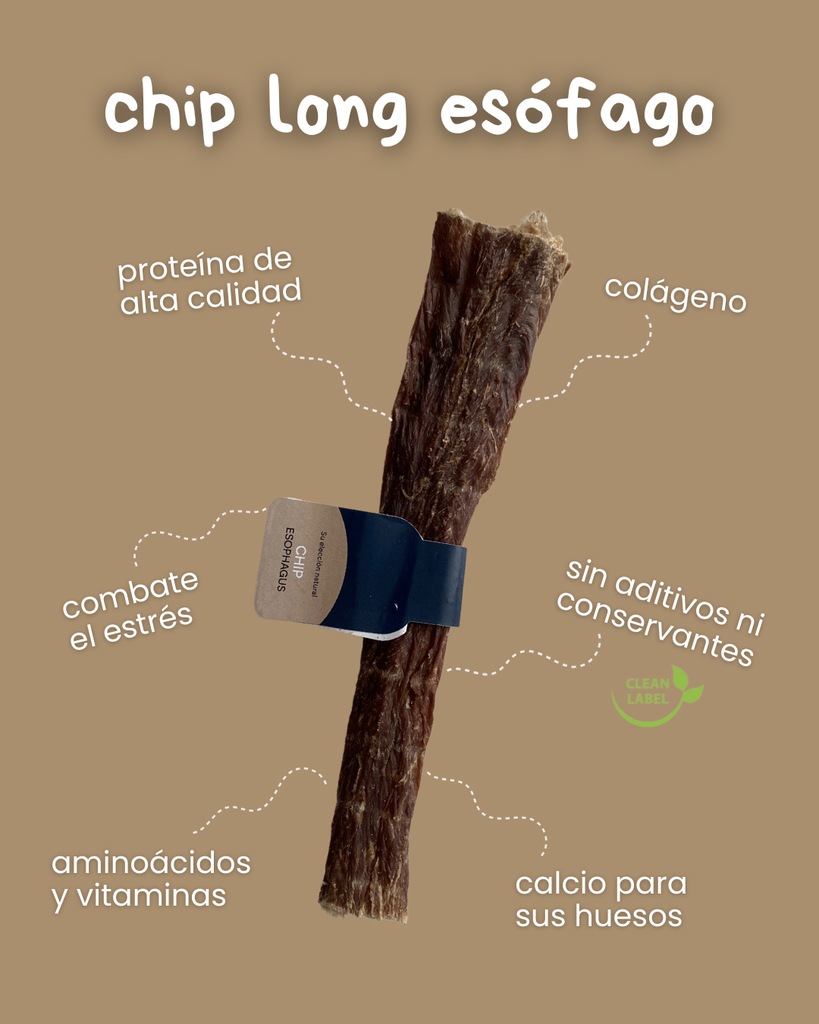 CHIP LONG