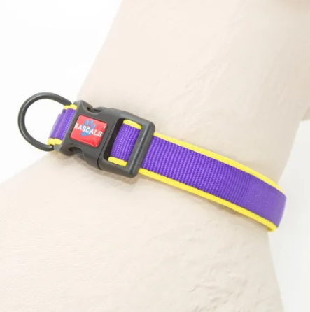 COLLAR ACOLCHADO VIOLETA M