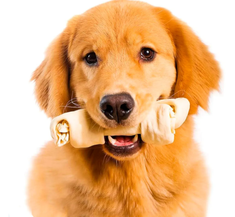 HUESO DE CUERO 8/9 NATURAL BLISTER