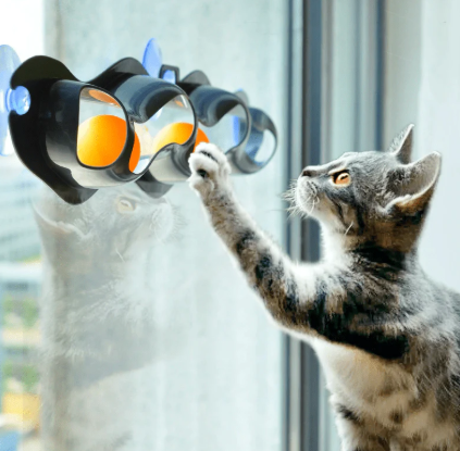 JUGUETE GATO TRACK N´ROLL